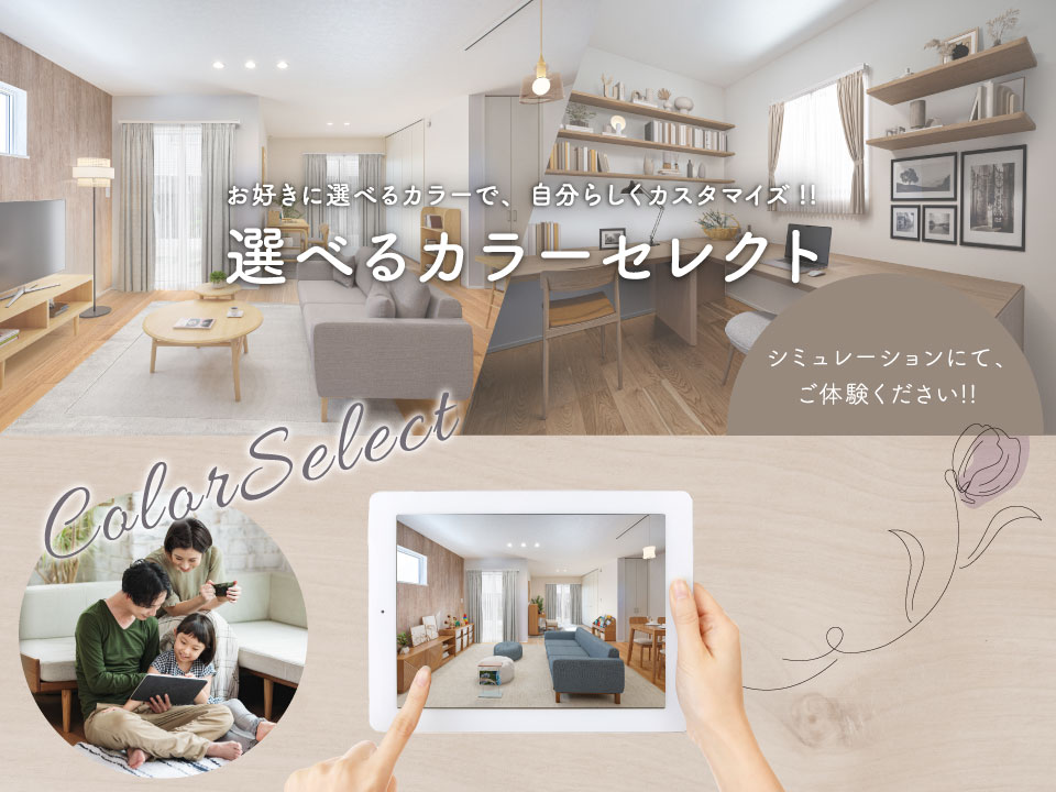 カラーセレクト