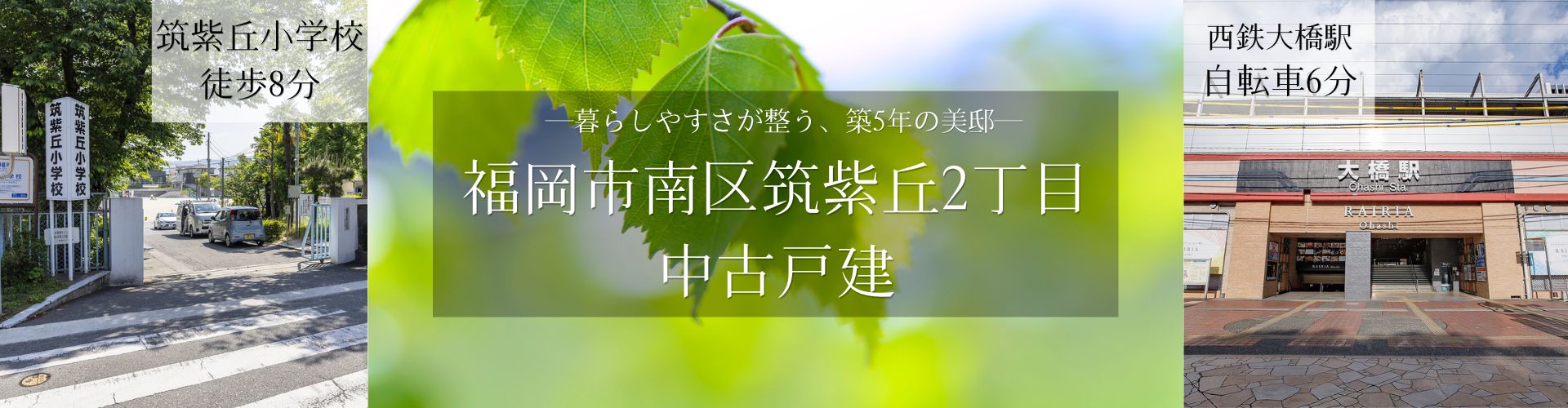 メインビジュアル